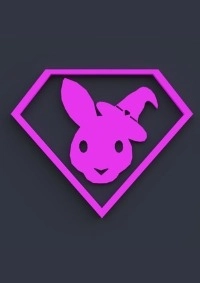 Roxy Raccoon