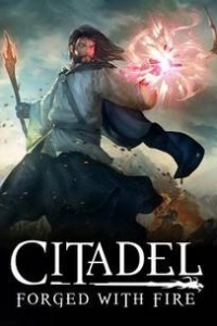 Citadel Forged with Fire