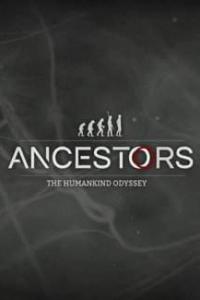 Ancestors The Humankind Odyssey